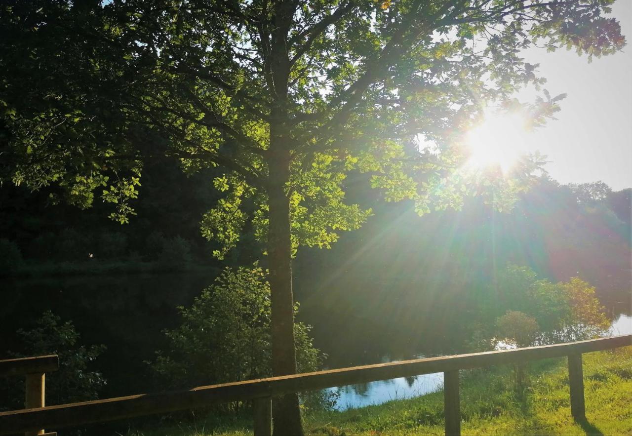 Talblick Bromskirchen
